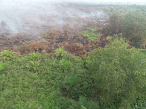 BMKG mencatat 21 hotspot atau titik panas di Sumatera, Riau menjadi wilayah terbanyak kedua (foto/int)
