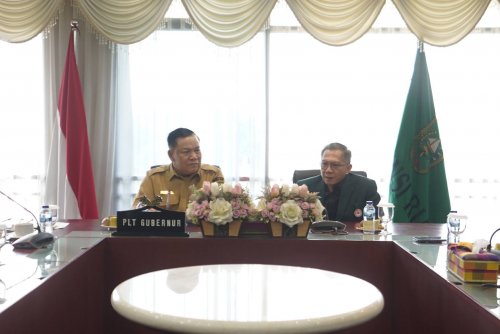 Audiensi dengan SF Hariyanto, IDI Riau siap gelar pelantikan dan seminar edukasi (foto/ist)
