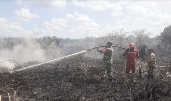 Kebakaran kebun sawit di Riau 