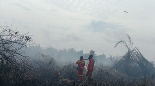 Ilustrasi hotspot Riau tembus 61 titik panas (foto/int)