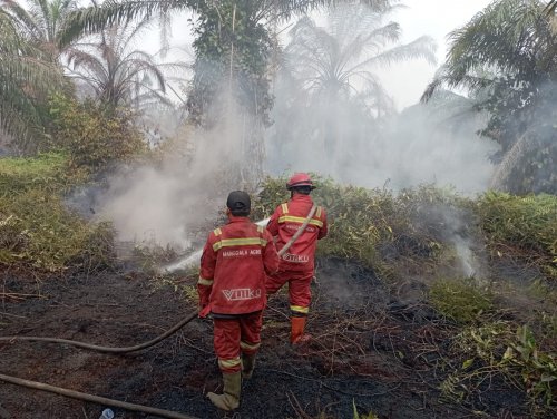 Ilustrasi BMKG mendeteksi delapan hotspot muncul di empat kabupaten di Riau (foto/int)