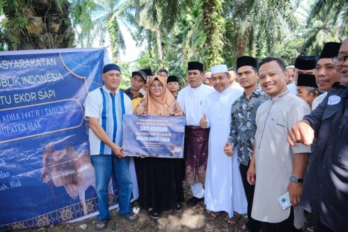 Bupati Siak Afni Zulkifli serahkan sapi kurban bantuan Presiden Prabowo.