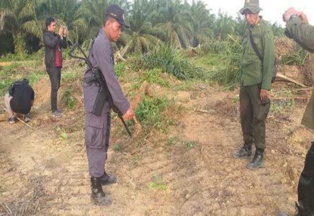 Konflik Lahan di Gondai masih belum temukan titik terang.