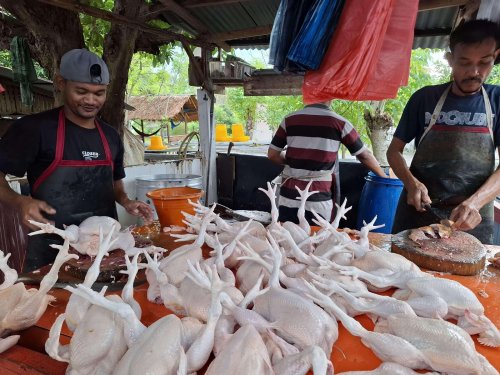 Harga ayam potong di Kota Pekanbaru meroket.(ilustrasi/int)