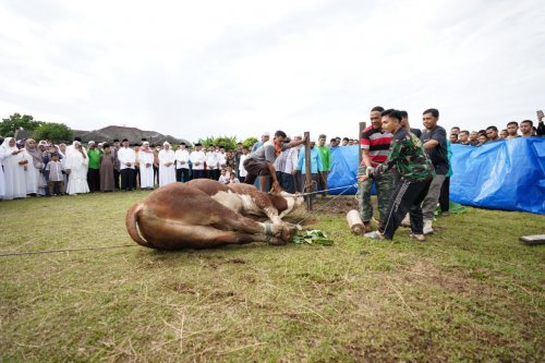 Ilustrasi permintaan hewan kurban di Riau meningkat tajam (foto/int)