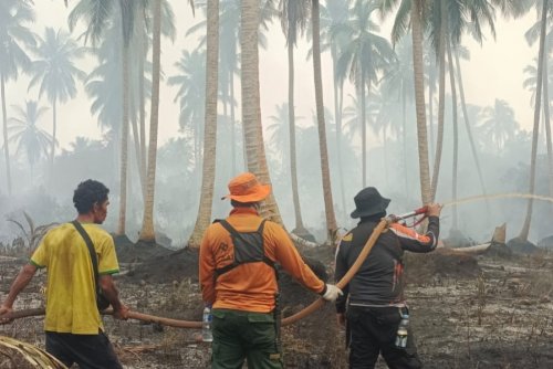 Ilustrasi Indragiri Hilir menjadi penyumbang terbanyak di Riau (foto/int)