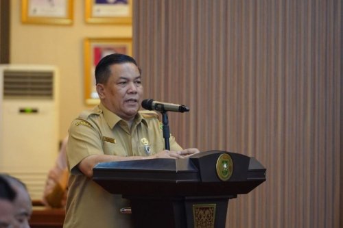 Plt Gubernur Riau, SF Hariyanto.(foto: int)