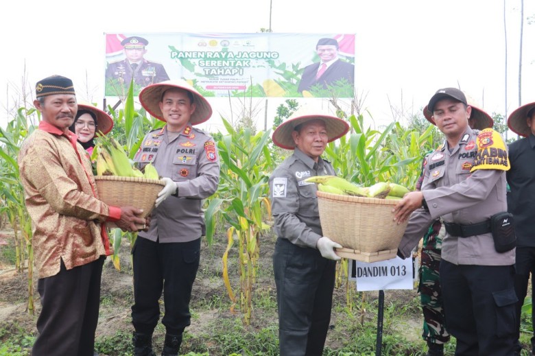 Kaplres Pelalawan, AKBP Afrizal panen raya jagung serentak tahap I (foto/Andy)