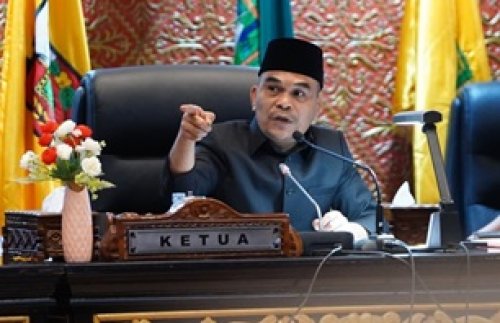 Ketua DPRD Riau, Kaderismanto minta pemerintah pusat kaji kembali pemotongan dana transfer ke daerah (foto/int)