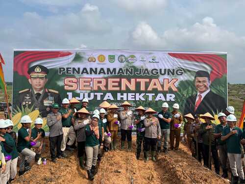 Anak usaha PT Astra Agro Lestari, PT Sawit Asahan Indah (SAI) ikut berpartisipasi dalam mendukung program penanaman jagung seluas 1 juta hektar secara serentak. (Foto: Istimewa)