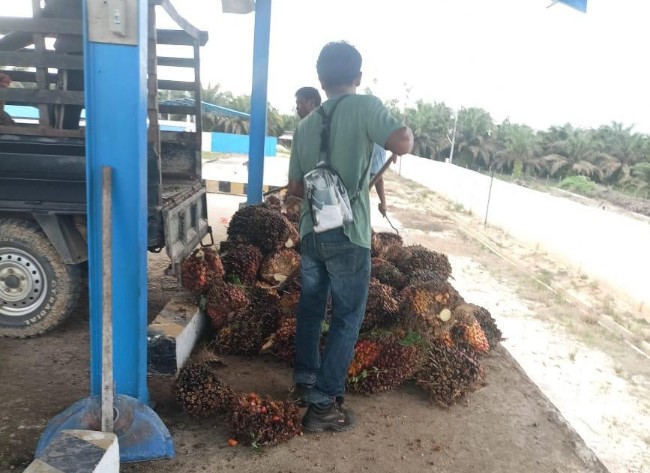 RAM Asli Jaya yang saat ini dikelola UMA di Desa Setiang tidak berizin (foto/ultra)