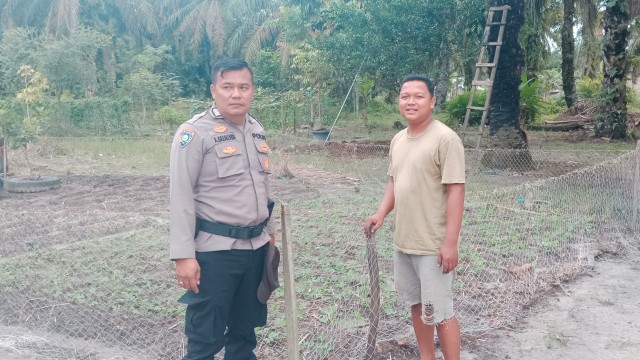 Bhabinkamtibmas Bukit Selamat, Kecamatan Simpang Kanan cek pertanian kacang tanah (foto/afrizal)