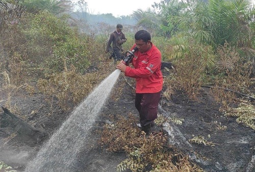 Tim darat RPK dari PT Arara Abadi-APP Sinar Mas sinergisitas dengan TNI/Polri dan masyarakat padamkan Karhutla di Siak (foto/ist)