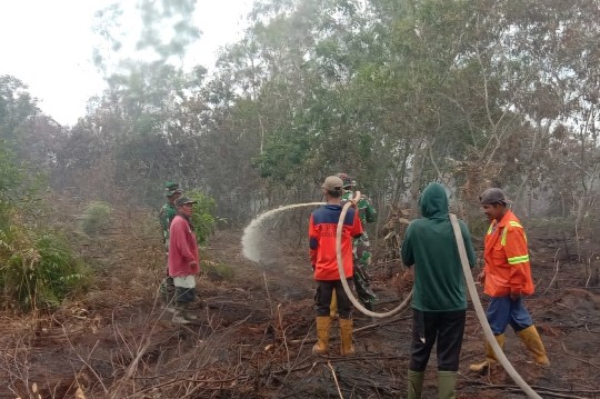 Ilustrasi BPBD Dumai antisipasi kebakaran hutan dan lahan (foto/bambang)