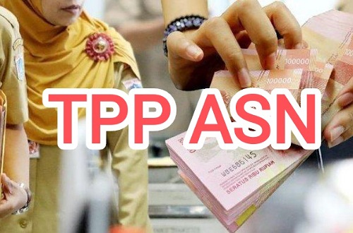 TPP ASN Pemprov Riau terancam dihapus tahun depan.(ilustrasi/int)