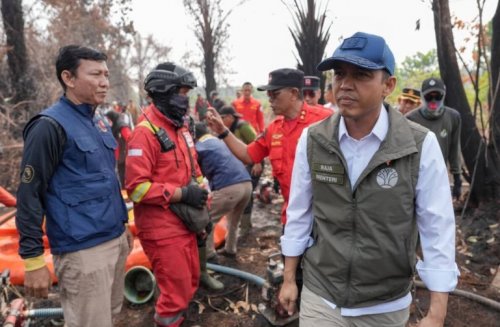 Menhut Raja Juli Antoni tinjau Karhutla (foto/ist)