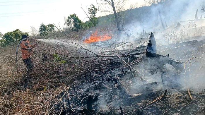 Titik asap masih terpantau di lokasi Karhutla di Desa Kuala Terusan, Kecamatan Pangkalan Kerinci (foto/tribunpku)