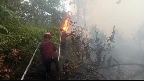 Ilustrasi hotspot terdeteksi 225 Titik di Riau (foto/int)