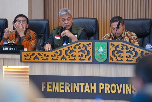 Pemprov Riau menargetkan program replanting kelapa sawit seluas 10.800 hektare pada tahun 2025. (Foto: Media Center Riau)