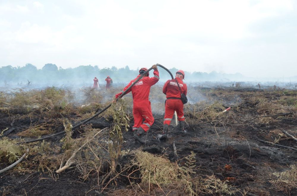 Ilustrasi petugas memadamkan Karhutla di Riau (foto/int)