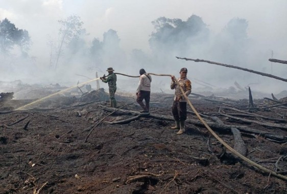 Ilustrasi ancamn Karhutla di Riau selama musim kemarau (foto/int)