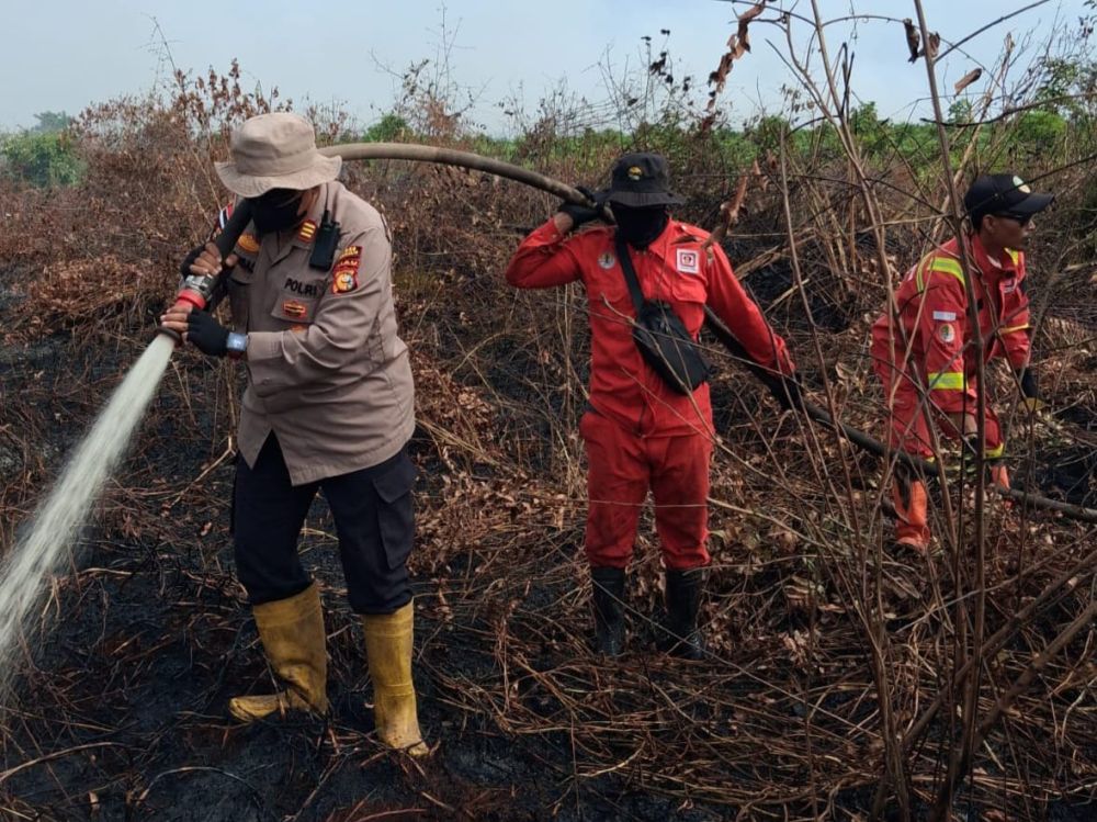Iluatrasi Riau menjadi penyumbang hotspot terbanyak di Sumatera (foto/int)