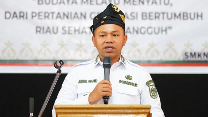 Gubernur Riau, Abdul Wahid (foto/int)
