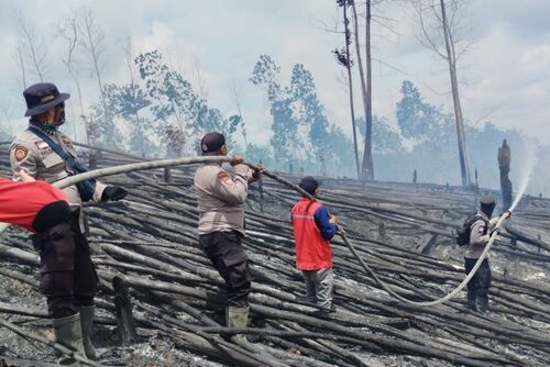 TNTN di Pelalawan, Riau mengalami kebakaran hebat melanda kawasan seluas 5 hektare. (Foto: Media Center Riau)