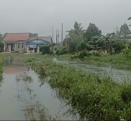 Banjir di Pekanbaru. (Foto: Dini Rahmadanti)