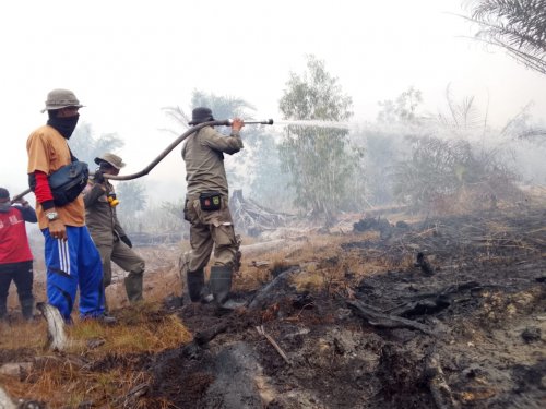 Ilustrasi BMKG catat Riau sumbang 12 hotspot (foto/int)