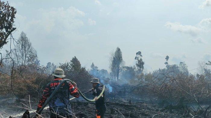 Ilustrasi cuaca panas memicu kebakaran lahan di Pekanbaru (foto/int)