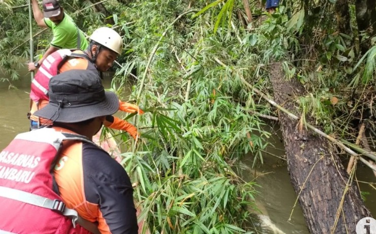 Jasad mahasiswa UIN Suska Riau yang hilang di Sungai Batang Gansal ditemukan (foto/Antarariau)