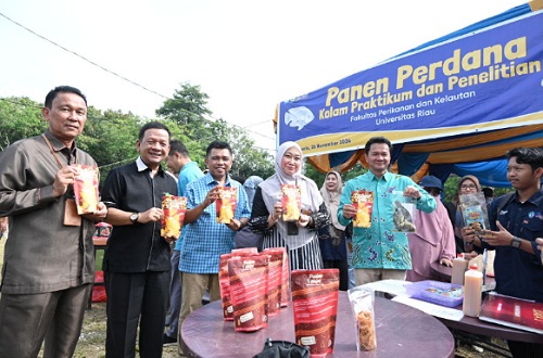 Rektor Unri, Prof Dr Sri Indarti SE MSi saat panen perdana di kolam ikan FPK Unri.(foto: istimewa)