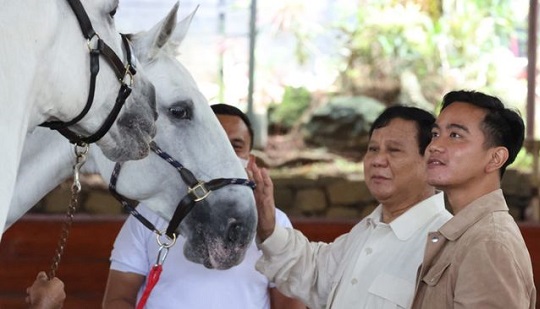 Dukungan Prabowo sebagai Capres dan Gibran Rakabuming sebagai Cawapres terus bertambah (foto/int)