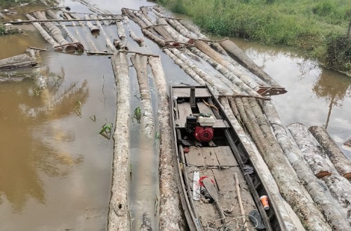 Sampang pengangkut tual kayu illegal logging diamankan polisi di Langgam, Pelalawan.(foto: andi/halloriau.com)