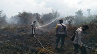 Ilustrasi Karhutla di pesisir Riau berhasil dipadamkan (foto/int)