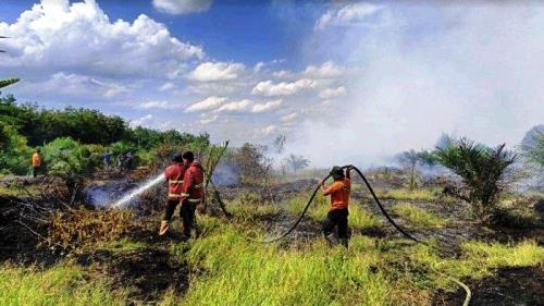 Proses pemadaman Karhutla di Kampar.(foto: tribunpekanbaru.com)