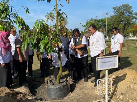 Pj Gubernur Riau, SF Hariyanto saat menanam pohon durian musang king di halaman Rumah Dinas Gubernur Riau.(foto: sri/halloriau.com)