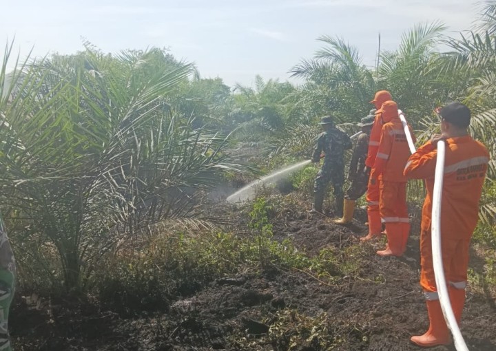 Satgas BPBD Rohil dan tim gabungan berjibaku padamkan api (foto/afrizal)