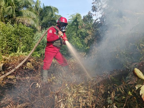 Ilustrasi sebaran hotspot muncul di sembilan kabupaten di Riau (foto/int)