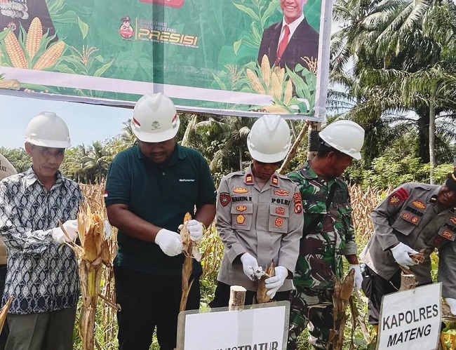 Dua anak perusahaan PT Astra Agro Lestari, yakni PT Surya Raya Lestari 2 (SRL 2) dan PT Bhadra Sukses (BDS), yang bergerak di bidang perkebunan kelapa sawit, berhasil melaksanakan panen jagung perdana seluas dua hektare di Dusun Ringing, Desa Salogatta, Kecamatan Budong-Budong, Jumat, 11 Juni 2025.