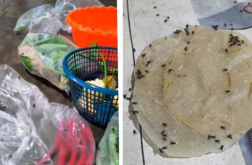 Warga di Jalan Jati Jajar I, Kulim keluhkan rumah dipenuhi lalat dari pagi hingga malam (foto/ist)