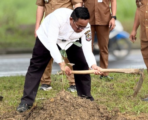Bupati Zukri pimpin penanaman bibit pohon aren di Pangkalan Kerinci, Pelalawan (foto/Andy)
