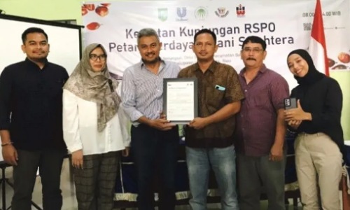 Kegiatan RSPO Jakarta untuk seritifikasi petani sawit di Inhu.(foto: antarariau.com)