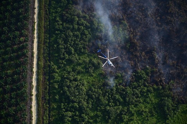 Lanud Roesmin Nurjadin terbangkan Heli H225M/Caracal pantau Karhutla (foto/Yuni)