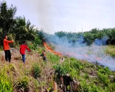 Titik panas di Sumatera meningkat.(ilustrasi/int)