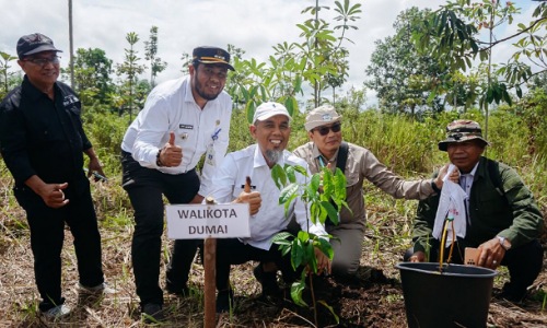 Dumai Jadi Kawasan Percontohan Pengelolaan Lahan Gambut 14 Negara