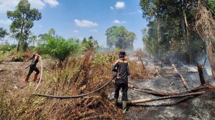 Upaya pemadaman Karhutla di Inhil.(foto: tribunpekanbaru.com)