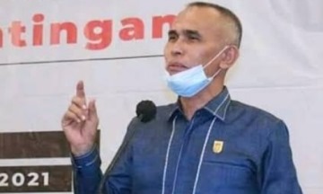 Ketua PHRI Provinsi Riau, Ir Nofrizal (foto/int)