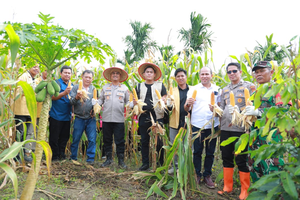 Panen raya jagung serentak tahap 1 Polres Kabupaten Inhil (foto/Ayendra)